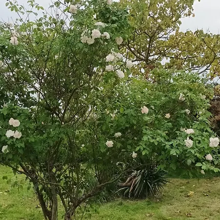 Comfortable 2 Bedroom Close To Jonzac Apartament