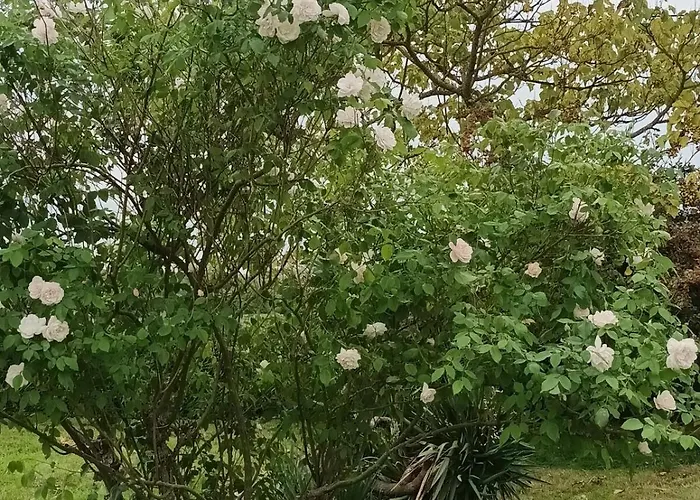 Comfortable 2 Bedroom Close To Jonzac Apartmán